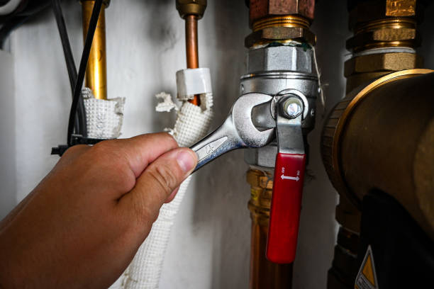 Best Water Leak Repair  in Riverton, IL